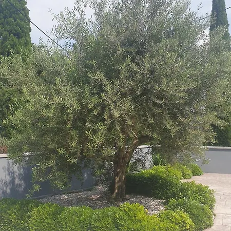 Appartement Apartma Pata, Koper - Cezarji