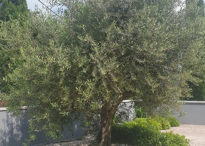 Appartement Apartma Pata, Koper - Cezarji